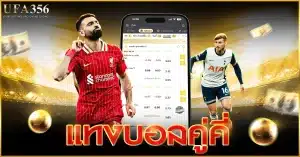 แทงบอลคู่คี่ รูปแบบการแทงบอลที่ฮิตที่สุดบนเว็บ ufa356